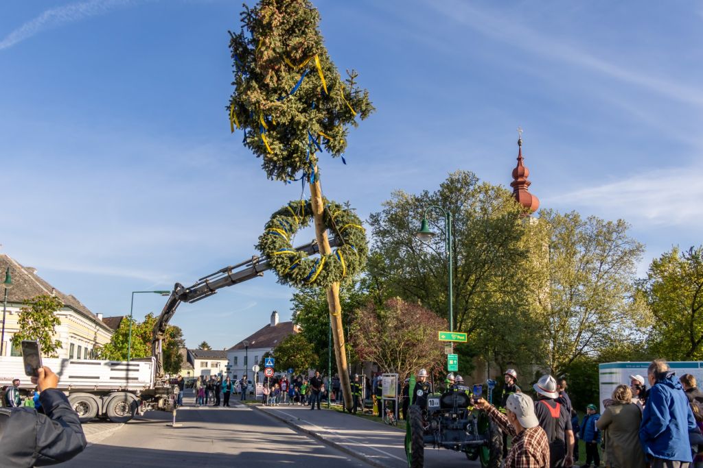 mv-orth-maibaumfest-20
